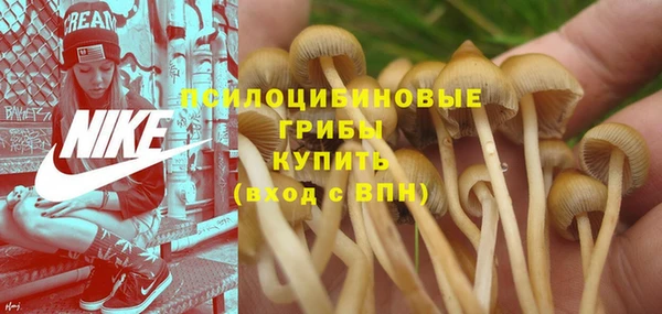 каннабис Вязники