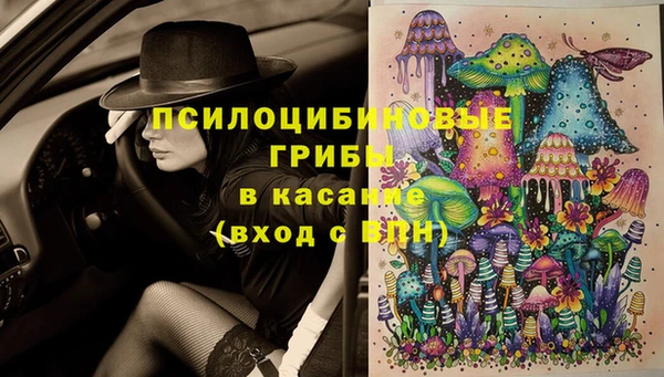 mdma Вяземский